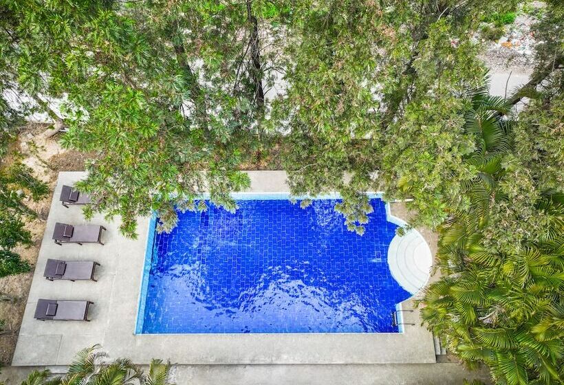 호텔 Citrus County, Hoshiarpur, Amã Stays & Trails