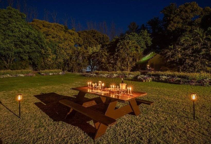 호텔 Citrus County, Hoshiarpur, Amã Stays & Trails