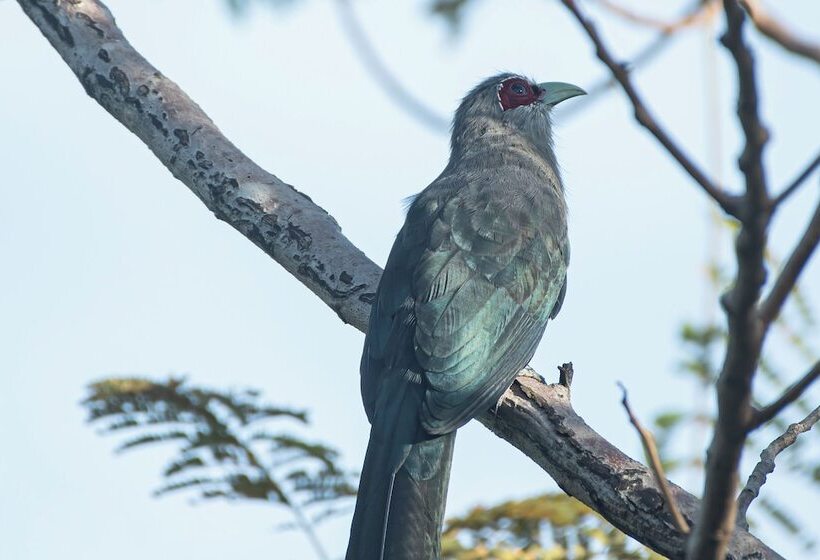 בית מלון כפרי Coconut Lane Bangkok