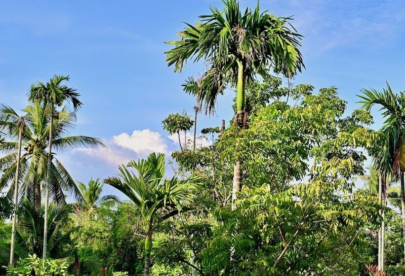 בית מלון כפרי Coconut Lane Bangkok
