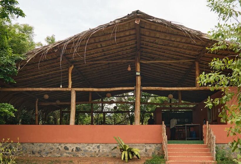 בית מלון כפרי Forest Lodge Eco Camp