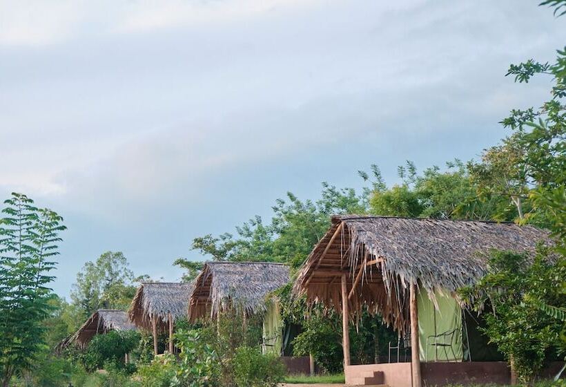 ホテル Forest Lodge Eco Camp