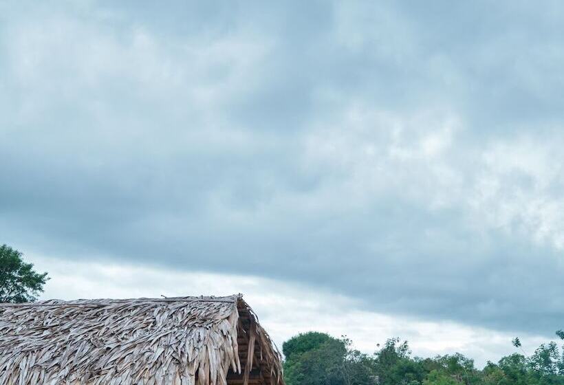 בית מלון כפרי Forest Lodge Eco Camp