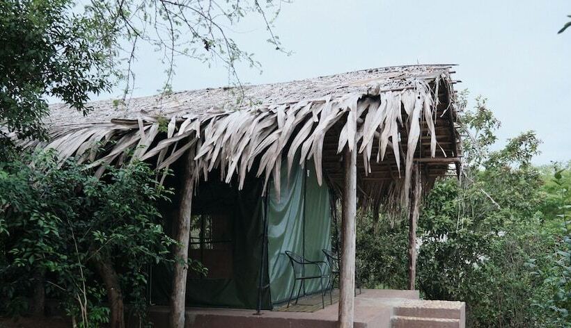 בית מלון כפרי Forest Lodge Eco Camp