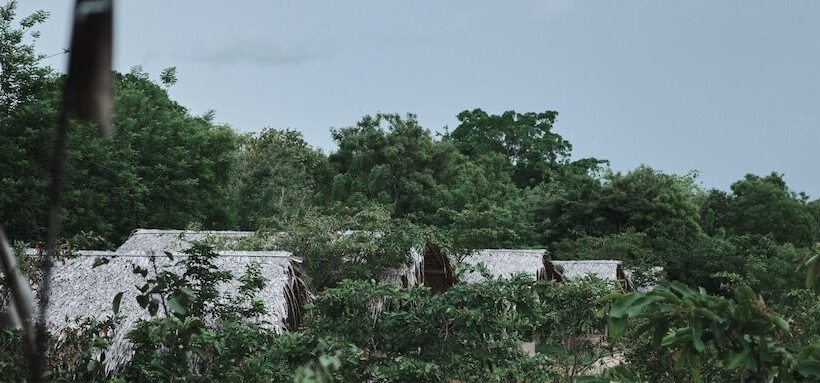 ホテル Forest Lodge Eco Camp