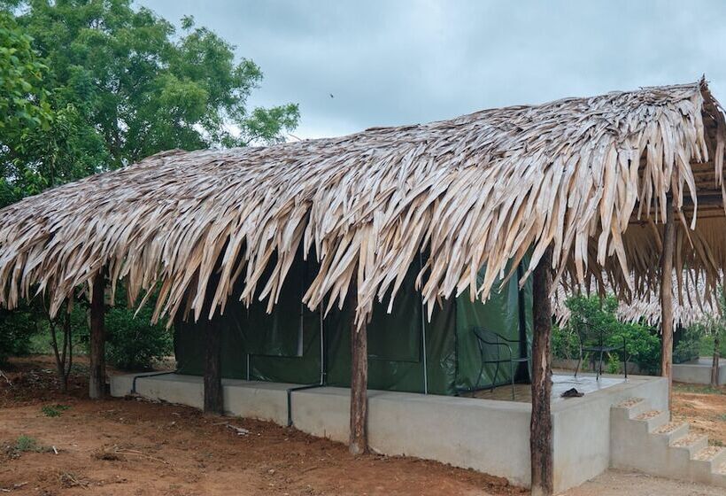 בית מלון כפרי Forest Lodge Eco Camp