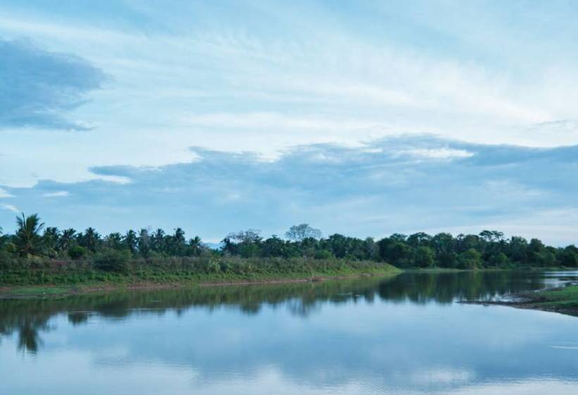 ホテル Forest Lodge Eco Camp