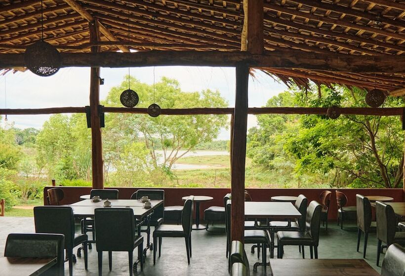 בית מלון כפרי Forest Lodge Eco Camp