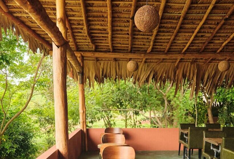 בית מלון כפרי Forest Lodge Eco Camp