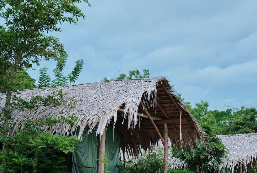 ホテル Forest Lodge Eco Camp