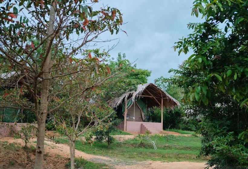 בית מלון כפרי Forest Lodge Eco Camp