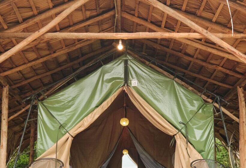 בית מלון כפרי Forest Lodge Eco Camp