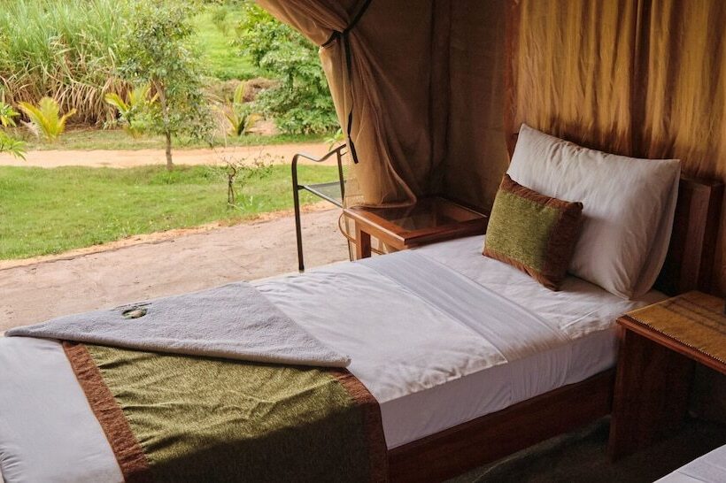 בית מלון כפרי Forest Lodge Eco Camp