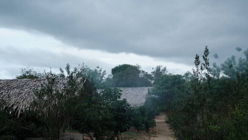 בית מלון כפרי Forest Lodge Eco Camp