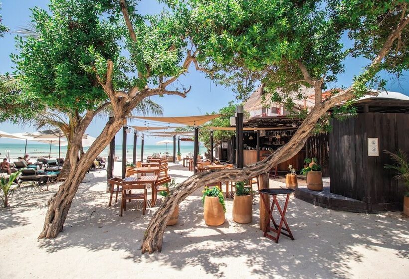 בית מלון כפרי Hau Holbox Beach Front