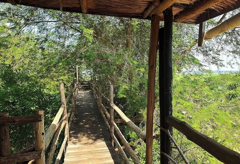 هتل Hornbill Bush Lodge