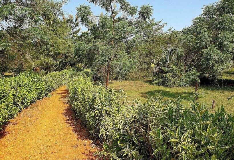 هتل Hornbill Bush Lodge