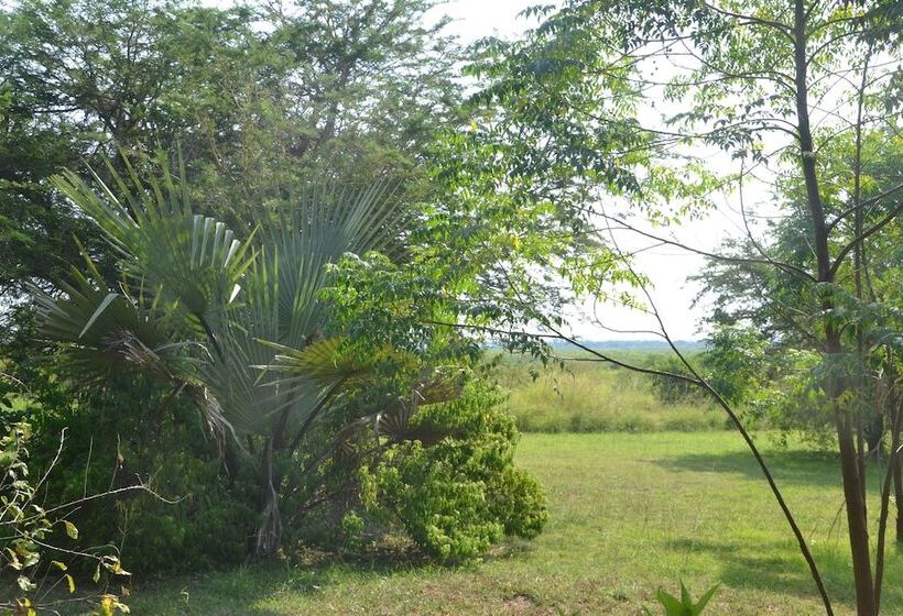 هتل Hornbill Bush Lodge