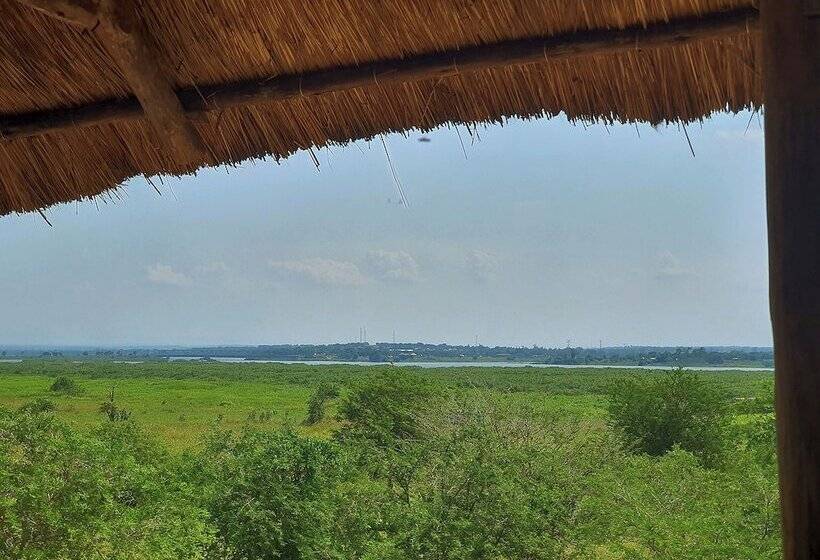 هتل Hornbill Bush Lodge