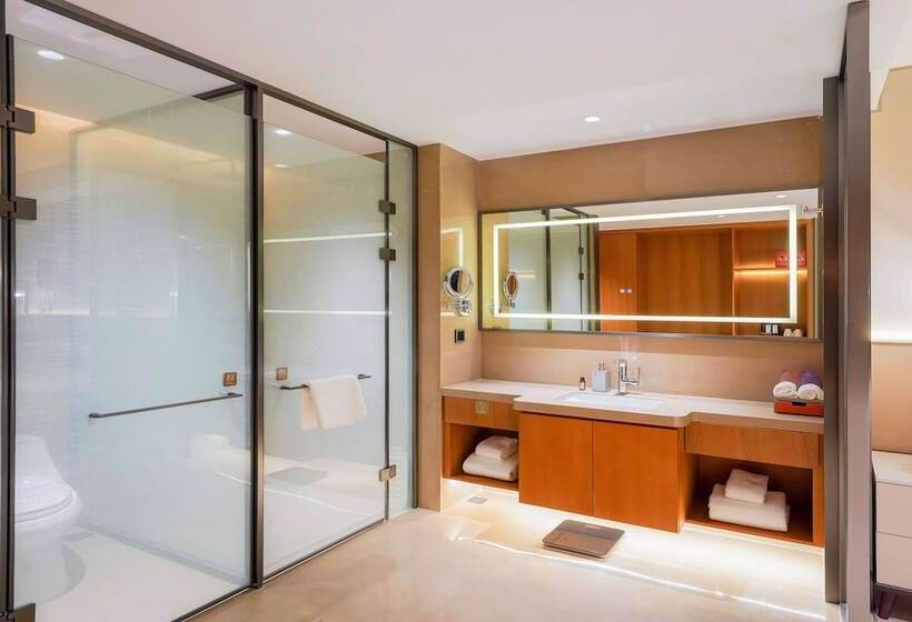 בית מלון כפרי Howard Johnson By Wyndham Huaqiao Plaza Xinyu