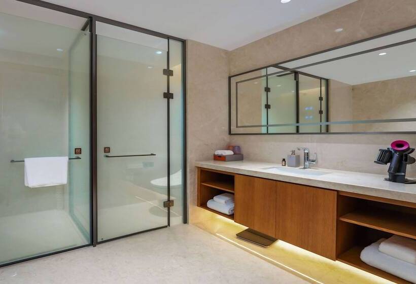 בית מלון כפרי Howard Johnson By Wyndham Huaqiao Plaza Xinyu