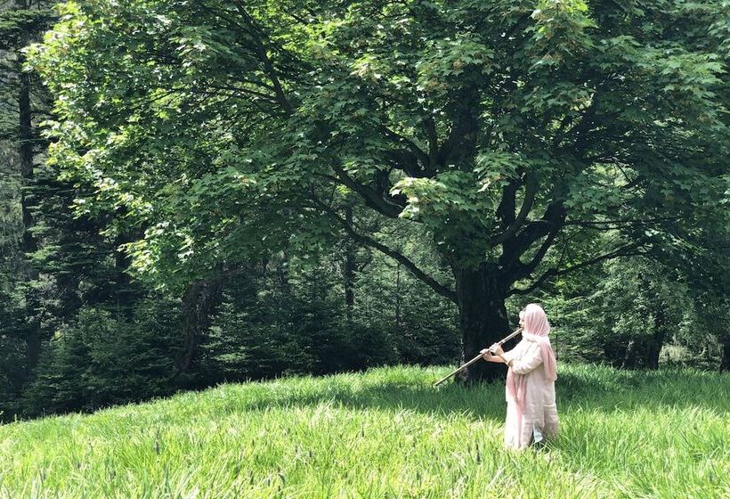 ホテル Lux Tea Horse Road Deqin Benzilan