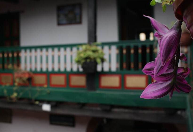 ホテル Mongui Plaza