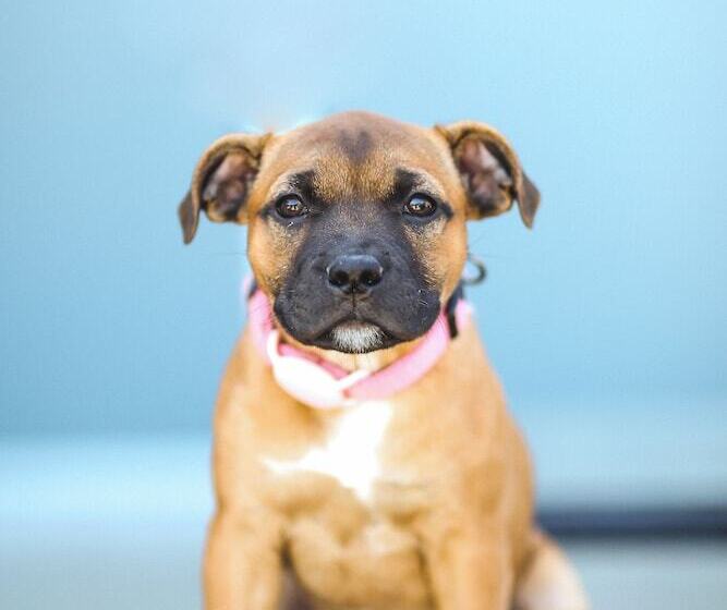 فندق Naturally Pacific Resort