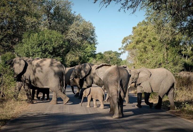 בית מלון כפרי Nkuhlu Tented Camp