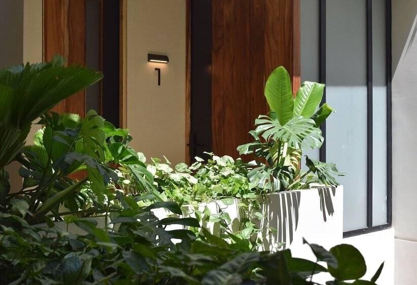 酒店 Nómada Boutique Habitat