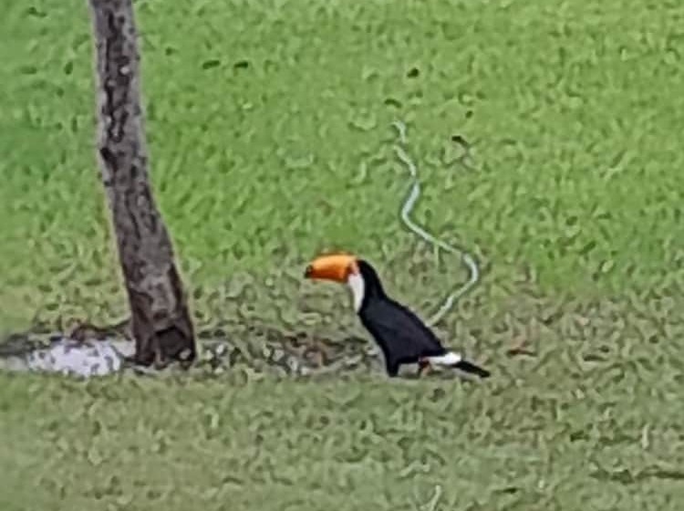 酒店 Pousada La Fiesta Ltda