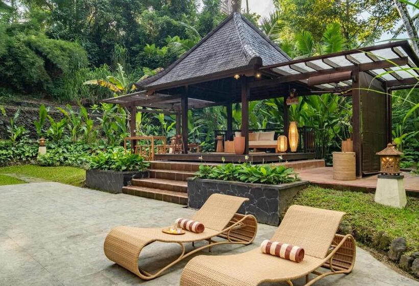 בית מלון כפרי Semana Residences By Cove