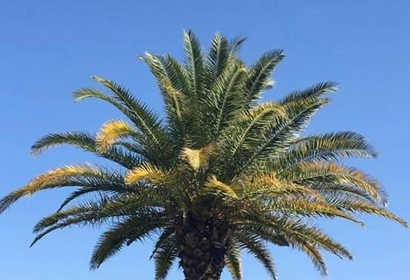 בית מלון כפרי The Green Beach Resort