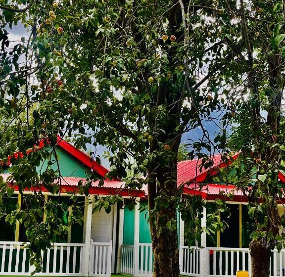 Hotel The Mountain Cottage Skardu