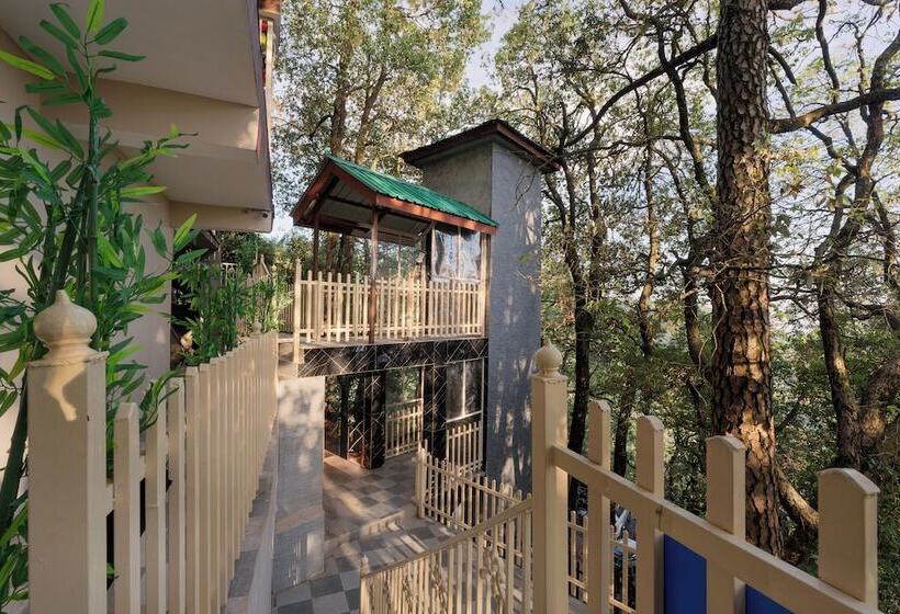 酒店 The Pine Retreat - Mall Road Dalhousie