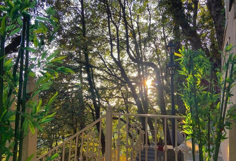 酒店 The Pine Retreat - Mall Road Dalhousie