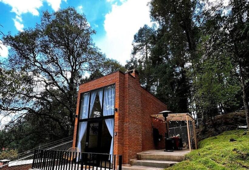 酒店 Tinychillhouse