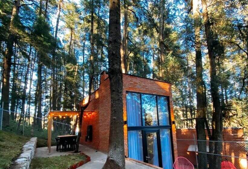 酒店 Tinychillhouse