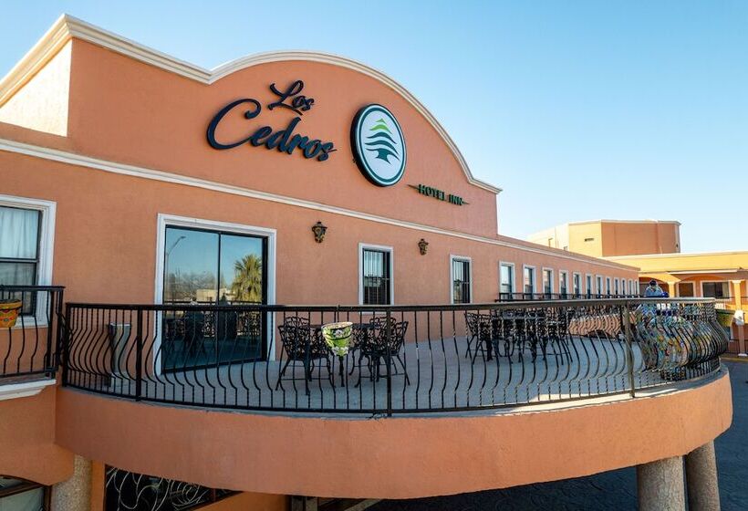 Los Cedros Hotel Inn Ciudad Juárez