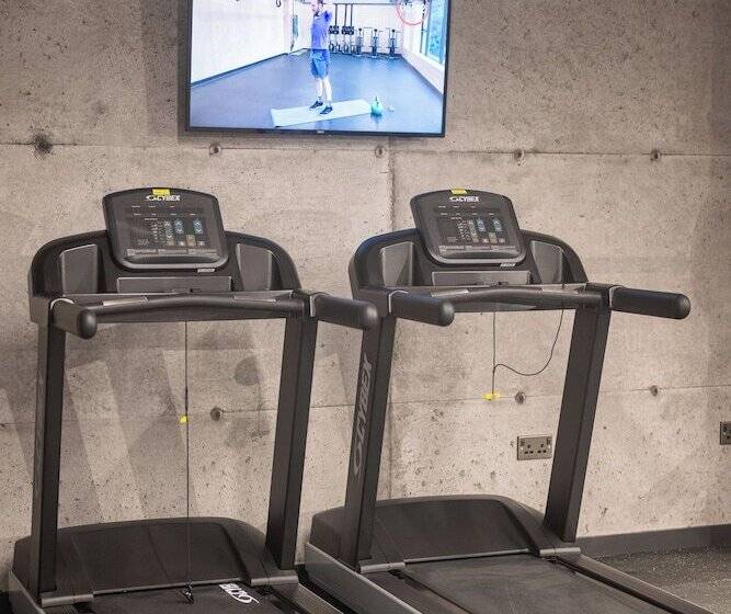 Niche Living - Rathmines