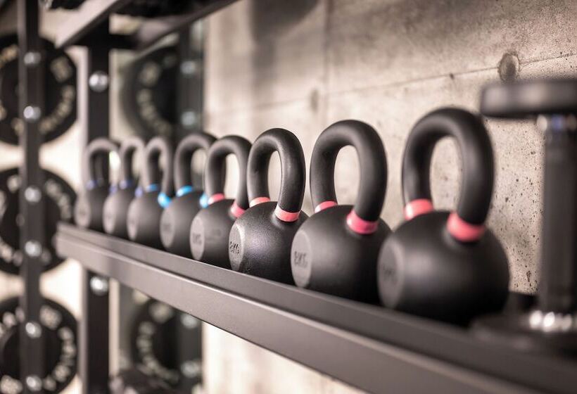 Niche Living - Rathmines