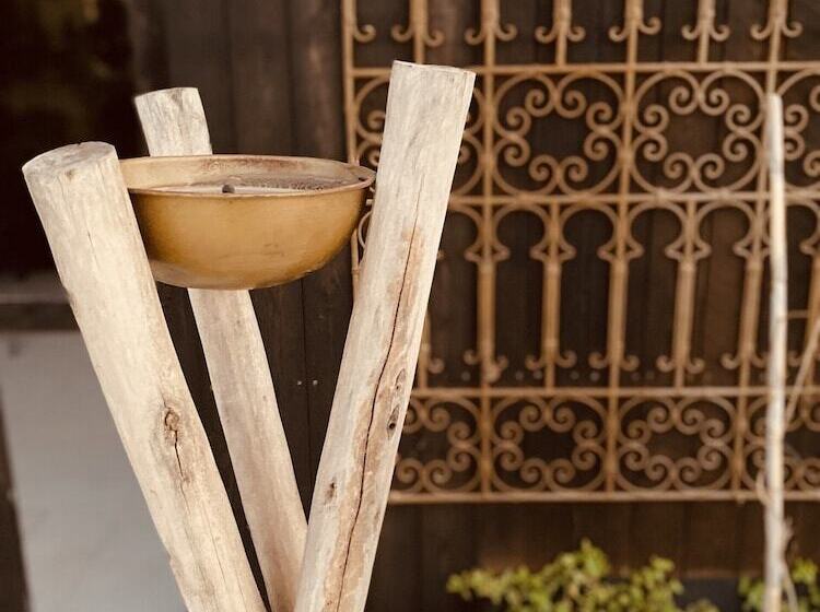 پانسیون Ali Baba Infinity