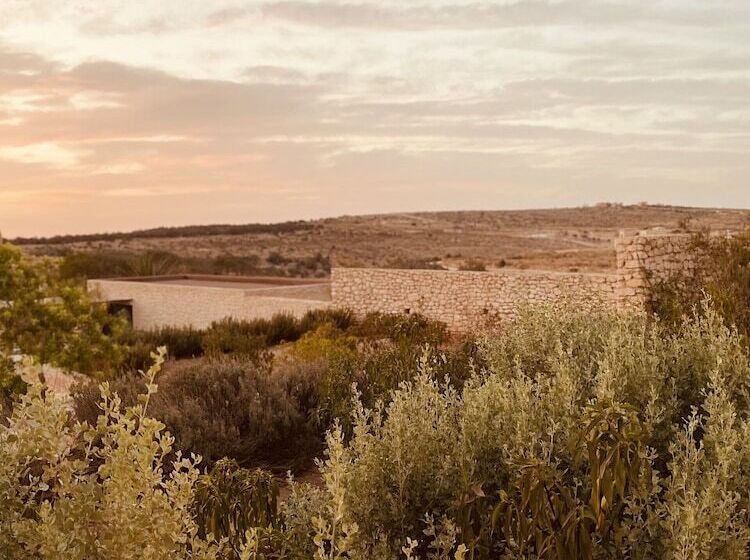 پانسیون Ali Baba Infinity