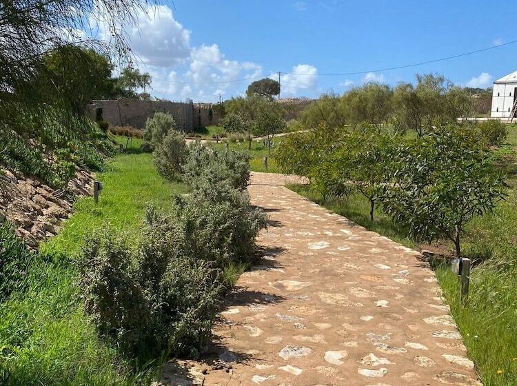 پانسیون Ali Baba Infinity