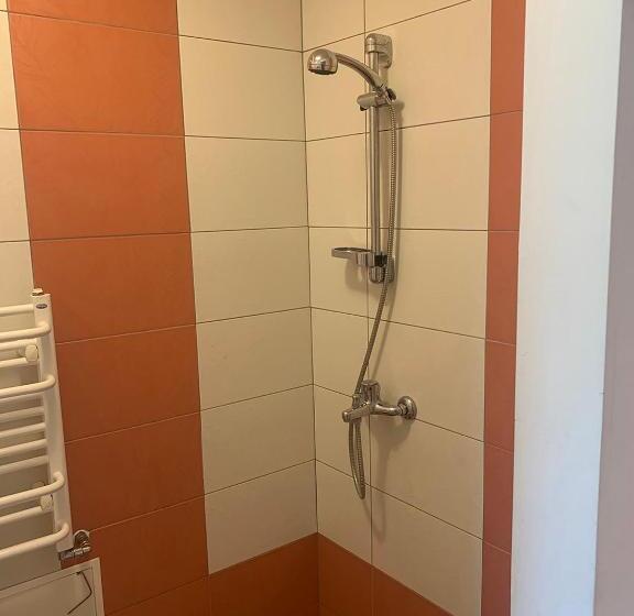 پانسیون Artless