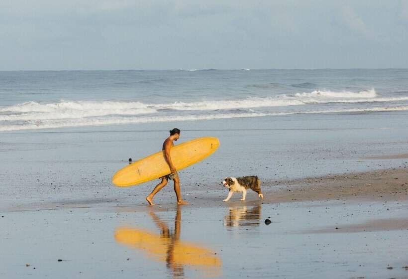 بنسيون Dream Surf House Avellana