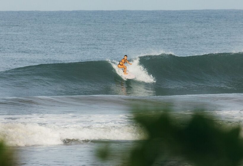 بنسيون Dream Surf House Avellana