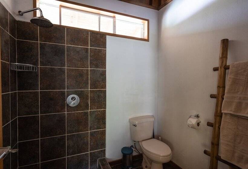 بنسيون Dream Surf House Avellana