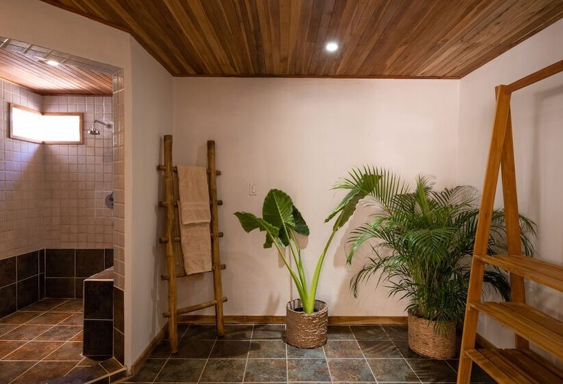 بنسيون Dream Surf House Avellana