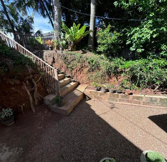 פנסיון Green Nature